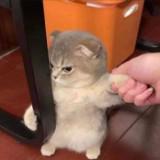 (Category: ) located in . Submitted by piec3ofcake (Listing ID 1378109656, Image 1). Description: .