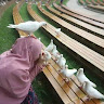 (Kategori: ) berada di . Dikirim oleh aulliaaia (ID iklan 1373513504, Gambar 1). Deskripsi: .