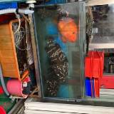 (Category: ) located in . Submitted by sea_hunters_kayak_fishing (Listing ID 1188599551, Image 1). Description: .