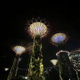 (Category: ) located in . Submitted by ieinsg (Listing ID 1438315033, Image 1). Description: .