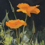 (Kategori: ) berada di . Dikirim oleh unusedthingz (ID iklan 1385919799, Gambar 1). Deskripsi: .