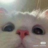(Category: ) located in . Submitted by Someonehahaha (Listing ID 1300204149, Image 1). Description: .