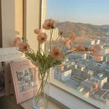 (Category: ) located in . Submitted by dingdong_ (Listing ID 1362969814, Image 1). Description: .