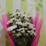 (Kategori: ) berada di . Dikirim oleh sun.rishop (ID iklan 1281260652, Gambar 1). Deskripsi: .