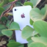 (Category: ) located in . Submitted by vsurya18 (Listing ID 1292039399, Image 1). Description: .