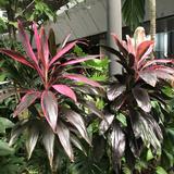 (Category: ) located in . Submitted by woda9 (Listing ID 1230548093, Image 1). Description: .