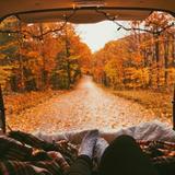 (Category: ) located in . Submitted by OliviaUlf (Listing ID 1372249708, Image 1). Description: .