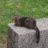 (Category: ) located in . Submitted by ylii5996 (Listing ID 1230699208, Image 1). Description: .