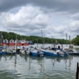 (Category: ) located in . Submitted by rinaazian78 (Listing ID 1377840142, Image 1). Description: .