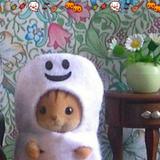 (Category: ) located in . Submitted by dearpeach (Listing ID 1372614177, Image 1). Description: .