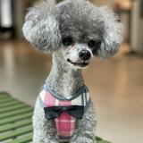 （分類：）位於 。 由 goobibi 提交（商品編號 1382704519，圖片 1）。簡介： 。