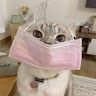 (Category: ) located in . Submitted by annasanba (Listing ID 1417938053, Image 1). Description: .