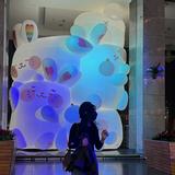 由 wenwens_wardrobe (刊登 ID 1373941354，圖片 1) 提交，位於 的 (類別：)，說明：。