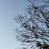 （分類：）位於 。 由 .null 提交（商品編號 1299472664，圖片 1）。簡介： 。