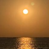 由 _sunset__ (刊登 ID 1381061125，圖片 1) 提交，位於 的 (類別：)，說明：。