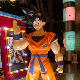 （分類：）位於 。 由 dragon_ball12 提交（商品編號 1224987142，圖片 1）。簡介： 。