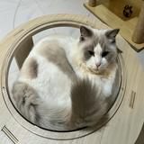 (分類:)位於 。 由 n44nmhbgts 提交(商品編號 1470100245,圖片 1)。簡介: 。