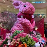 （分類：）位於 。 由 joog. 提交（商品編號 1025790991，圖片 1）。簡介： 。