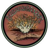 （分類：）位於 。 由 susansgarden 提交（商品編號 1232290158，圖片 1）。簡介： 。