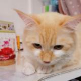 (Category: ) located in . Submitted by wangmr (Listing ID 1283151394, Image 1). Description: .