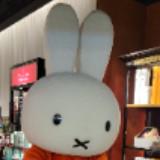 (分類:)位於 。 由 chanlamwai86868 提交(商品編號 1445345724,圖片 1)。簡介: 。