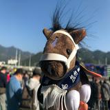 （分類：）位於 。 由 chihol 提交（商品編號 1368621652，圖片 1）。簡介： 。