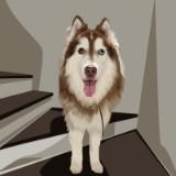 (Category: ) located in . Submitted by nulka.t (Listing ID 1219428689, Image 1). Description: .