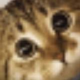 由 dhehejej636 (刊登 ID 1368253687，圖片 1) 提交，位於 的 (類別：)，說明：。