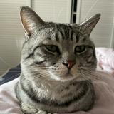 (分類:)位於 。 由 popo.o 提交(商品編號 1465319278,圖片 1)。簡介: 。