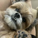(Category: ) located in . Submitted by glvzicbg_ (Listing ID 1384158783, Image 1). Description: .