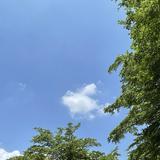 由 chenyingle (刊登 ID 1386436723，圖片 1) 提交，位於 的 (類別：)，說明：。
