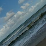 (Category: ) located in . Submitted by aqish02 (Listing ID 1299572067, Image 1). Description: .