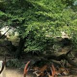 (分類:)位於 。 由 aciiiii 提交(商品編號 1460664130,圖片 1)。簡介: 。