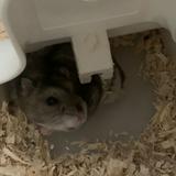 (Category: ) located in . Submitted by kwwkwwkw (Listing ID 1371525878, Image 1). Description: .