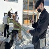 由 original.fg (刊登 ID 1344054790，圖片 1) 提交，位於 的 (類別：)，說明：。