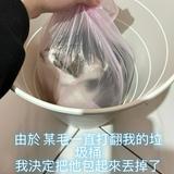 由 66__22__ (刊登 ID 1381980313，圖片 1) 提交，位於 的 (類別：)，說明：。