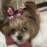 (Category: ) located in . Submitted by bauchell (Listing ID 1300977552, Image 1). Description: .