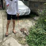 (Kategori: ) berada di . Dikirim oleh xxxmfkr (ID iklan 1365737830, Gambar 1). Deskripsi: .