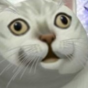 由 gohome123381901 (刊登 ID 1331340170，圖片 1) 提交，位於 的 (類別：)，說明：。