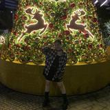 (Category: ) located in . Submitted by claudsxz (Listing ID 1426372778, Image 1). Description: .