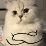 由 curelluv (刊登 ID 1384172130，圖片 1) 提交，位於 的 (類別：)，說明：。