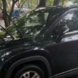 (Category: ) located in . Submitted by ghamar (Listing ID 1369469524, Image 1). Description: .