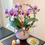（分類：）位於 。 由 kt311 提交（商品編號 1372516526，圖片 1）。簡介： 。