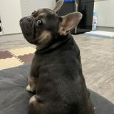 （分類：）位於 。 由 phoebe1437 提交（商品編號 1355885683，圖片 1）。簡介： 。