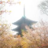由 hsiung711104 (刊登 ID 1379241969，圖片 1) 提交，位於 的 (類別：)，說明：。