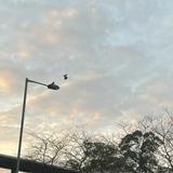 （分類：）位於 。 由 0116_1223 提交（商品編號 1340497700，圖片 1）。簡介： 。