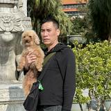 （分類：）位於 。 由 lethanhhuy31100 提交（商品編號 1353603783，圖片 1）。簡介： 。