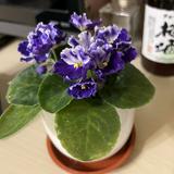 （分類：）位於 。 由 bluesky333 提交（商品編號 1383044123，圖片 1）。簡介： 。