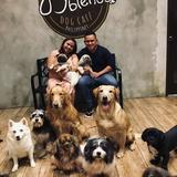 (Category: ) located in . Submitted by jampineda03 (Listing ID 1354235760, Image 1). Description: .