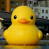 由 masadata (刊登 ID 1384768453，圖片 1) 提交，位於 的 (類別：)，說明：。